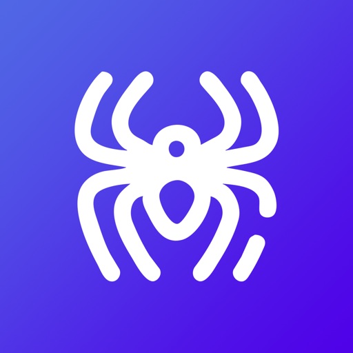 spider proxy