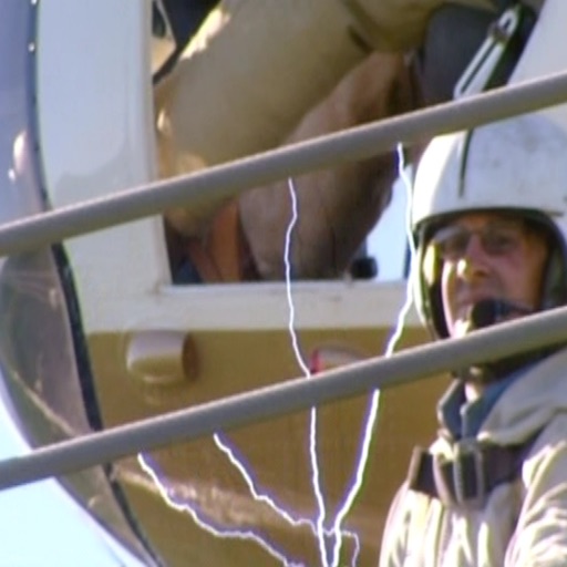lineman guide