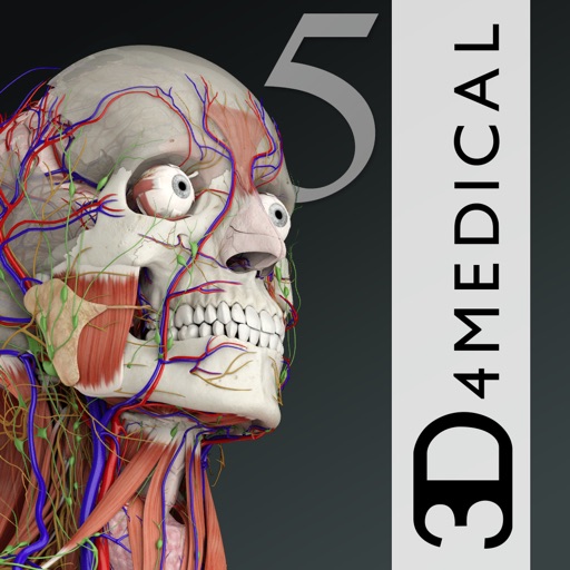 essential anatomy 5