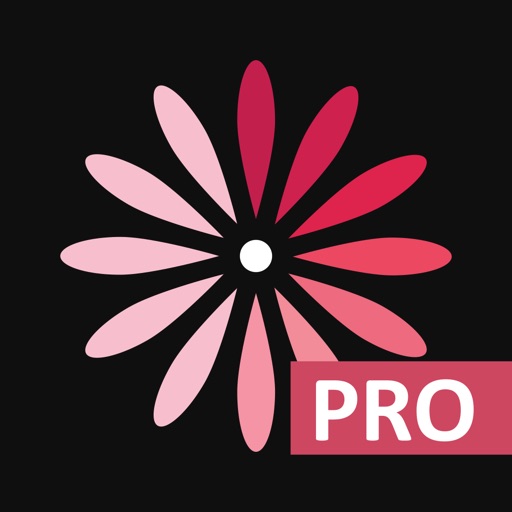 womanlog pro calendrier
