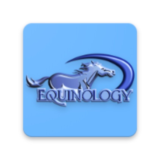 equine anatomy learning aid