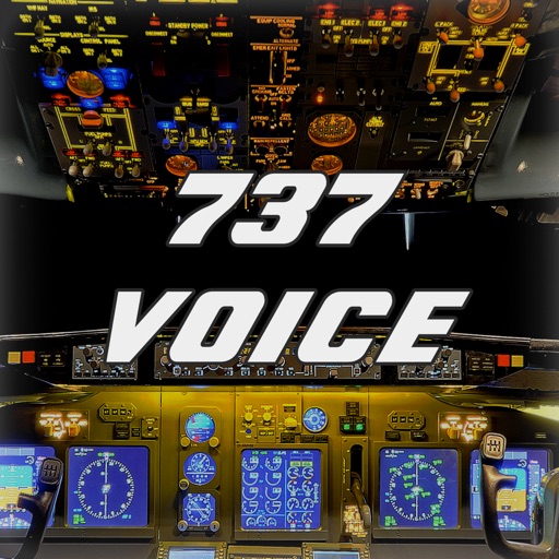 737 voice - aural warnings