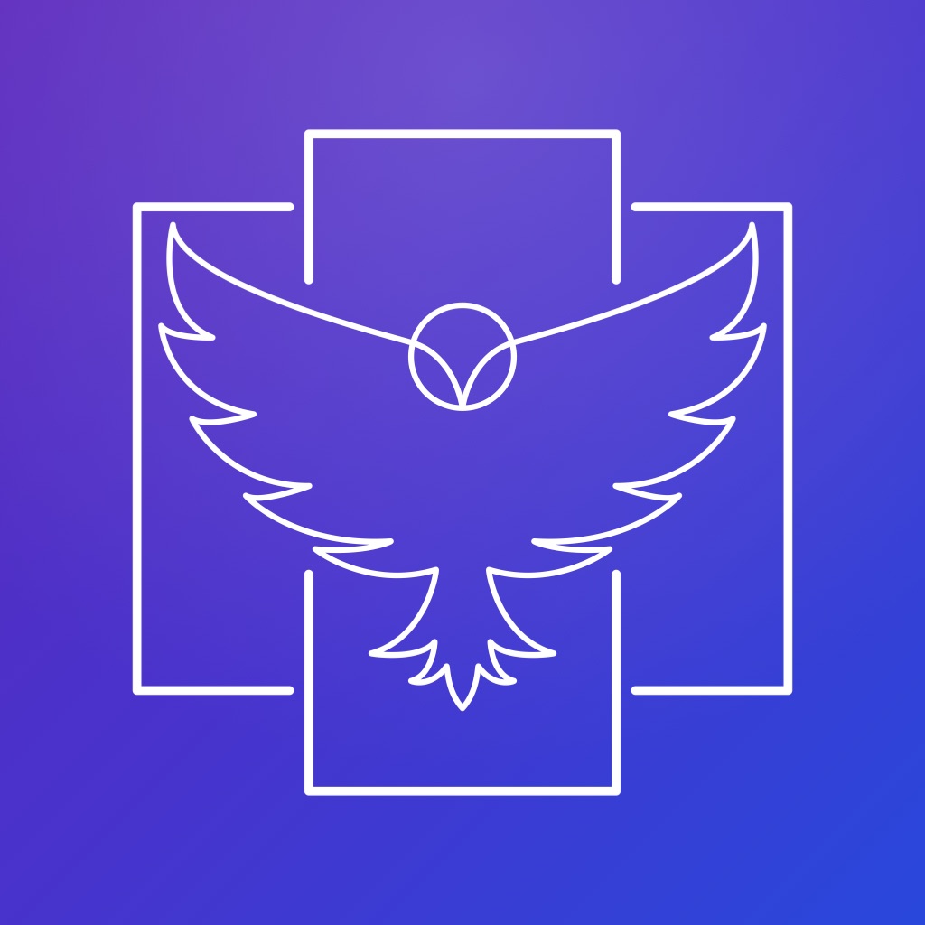 Pano Owl