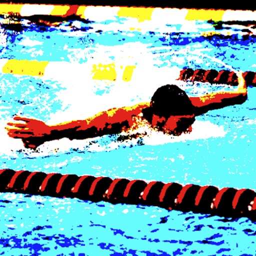 swim converter