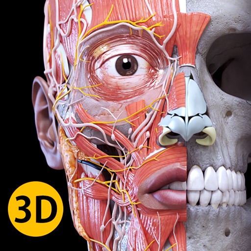 anatomy 3d atlas