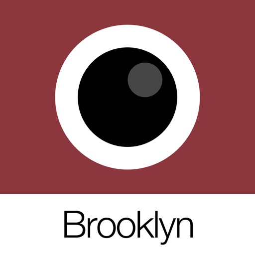 analog brooklyn