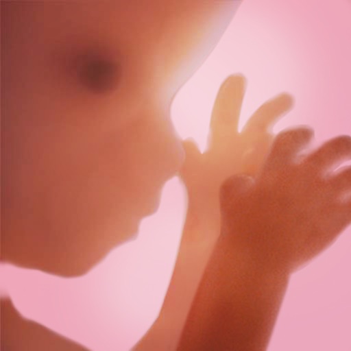 pregnancy + | tracker app
