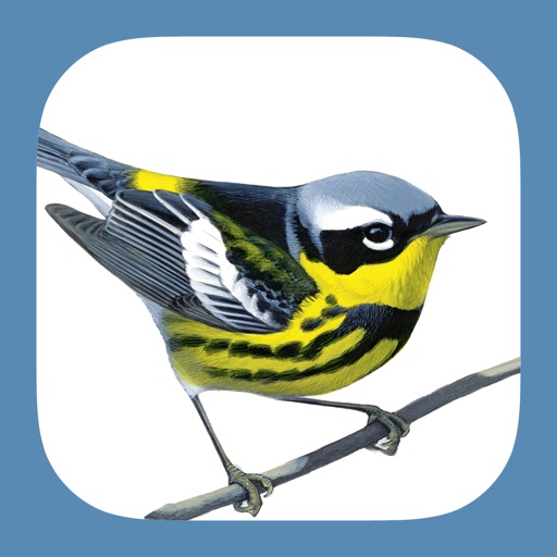 sibley birds 2nd edition