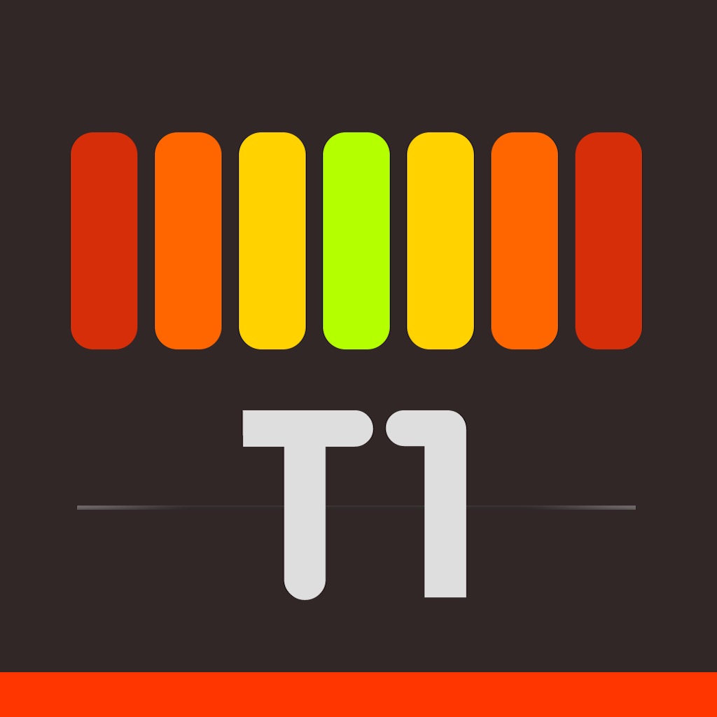 튜너 T1