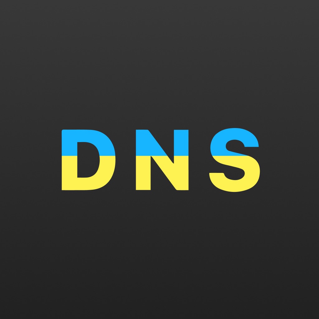 DNS Client: Lookup & Query