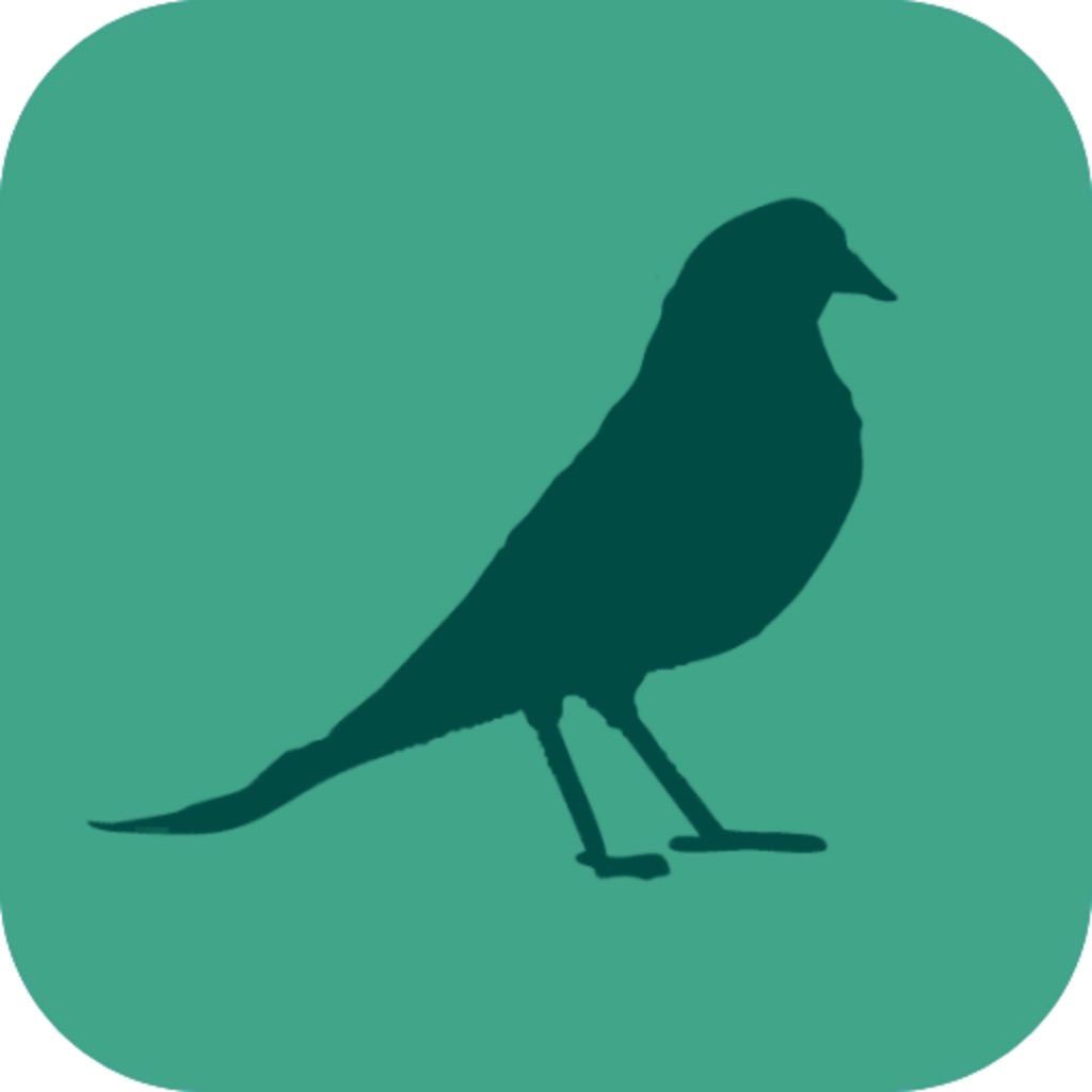 Wildwood: Follow the Crows