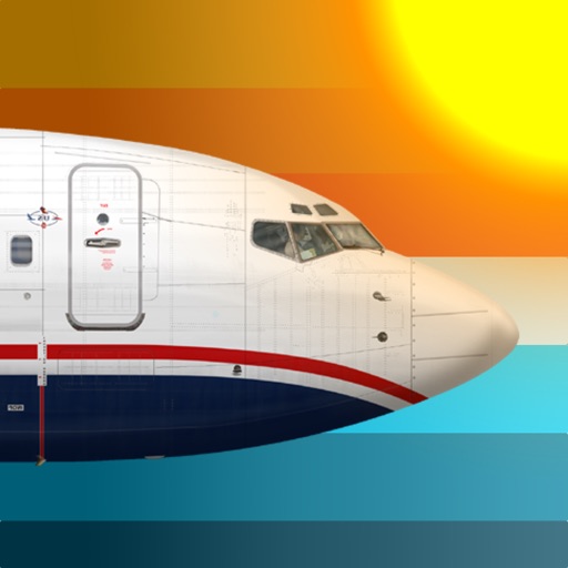 737 flight simulator