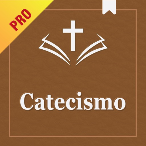 catecismo iglesia católica pro