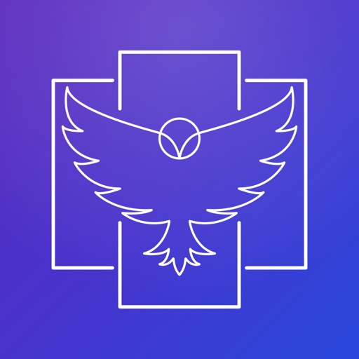 pano owl