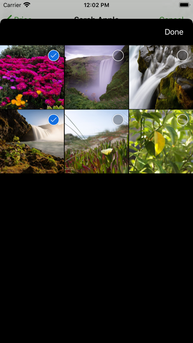 screenshot 6