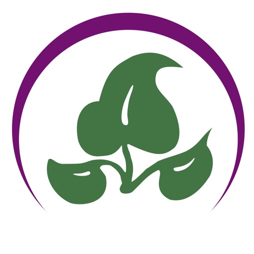ref guide for essential oils