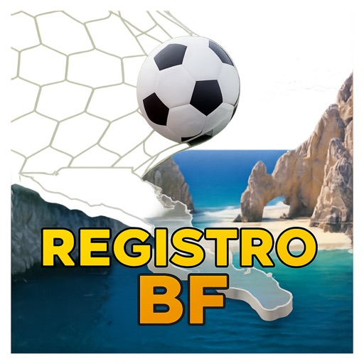 registro bf