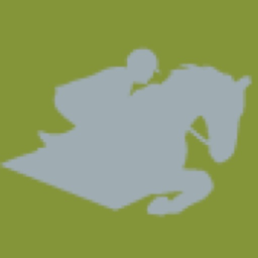 strides distance calculator