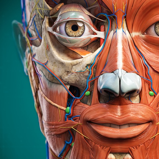 anatomy learning - 3d atlas