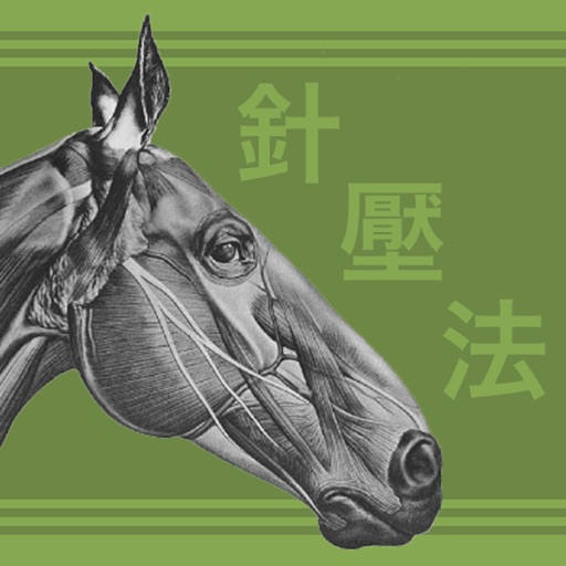 equine acupoints