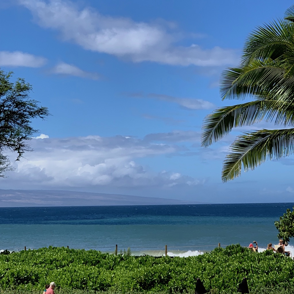 Timeshare Calculators with AI
