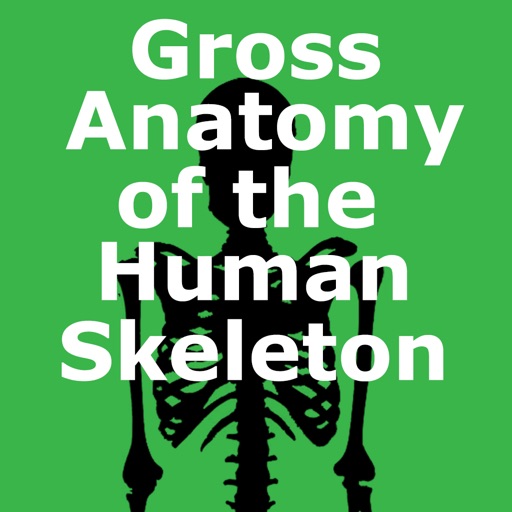 human skeleton: gross anatomy