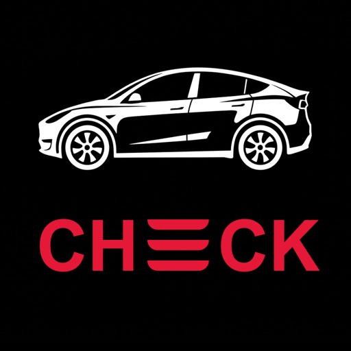 delivery checklist model y/yl
