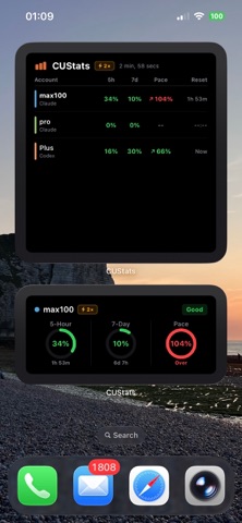 screenshot 10