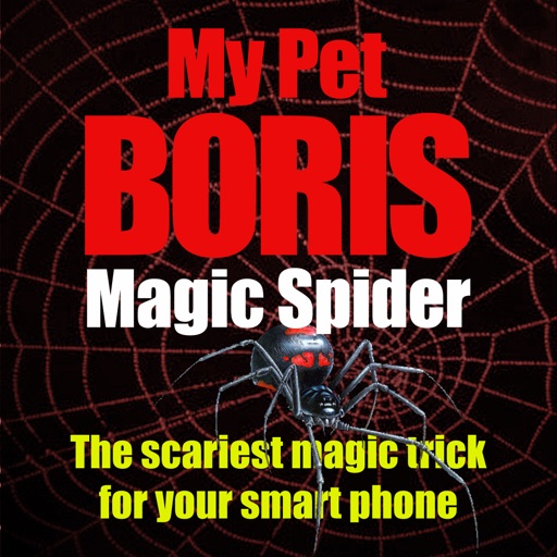 magic spider - my pet boris