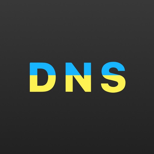 dns client: lookup & query