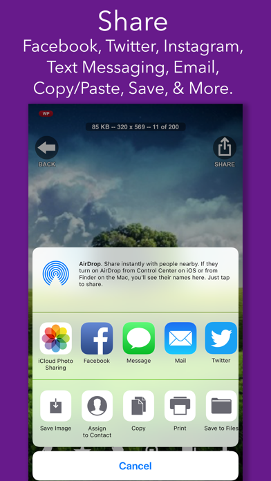 screenshot 6