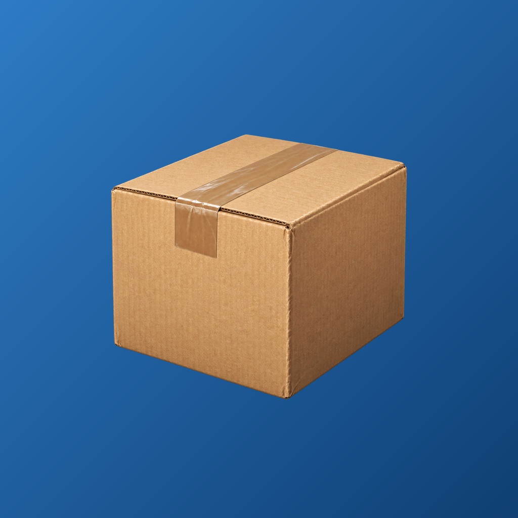 Prueba de entrega paquetes