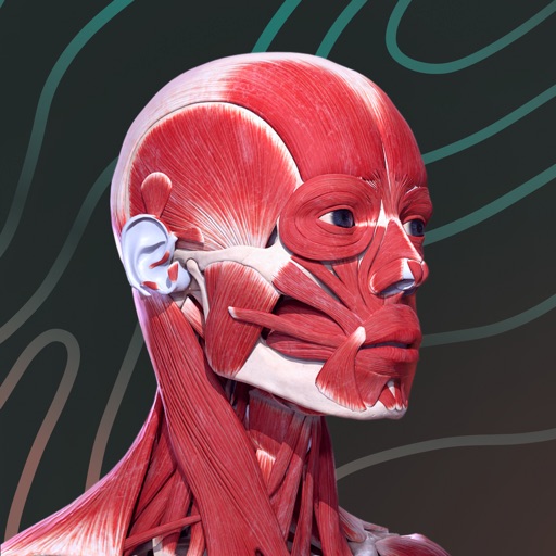 easy anatomy 3d with voice ai