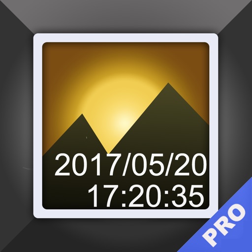 timestamp photo and video pro