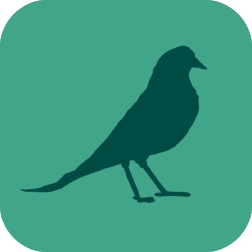 wildwood: follow the crows