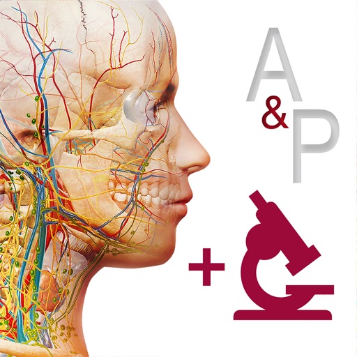 anatomy & physiology