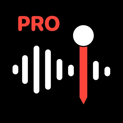 audio recorder with timecodes