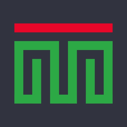 team mexico