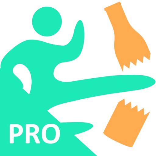 sobriety counter - pro
