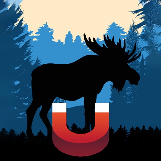 moose magnet - moose calls