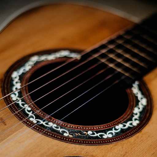 acoustic voice pro