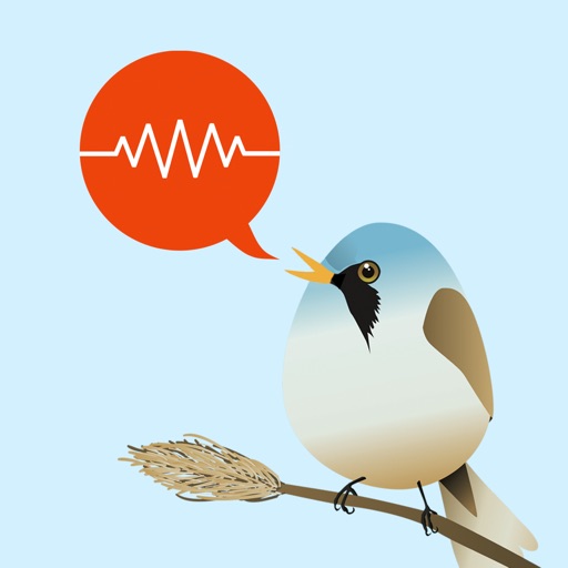 zwitschomat - vogelerkennung