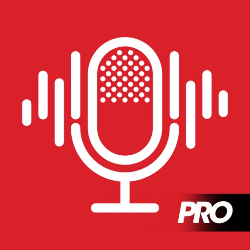 audio recorder pro & playback