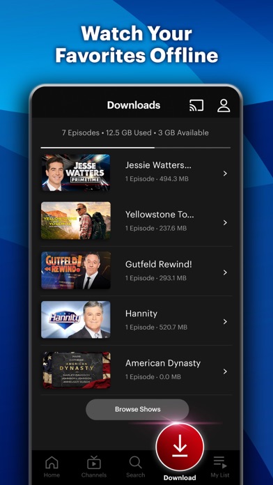 screenshot 5