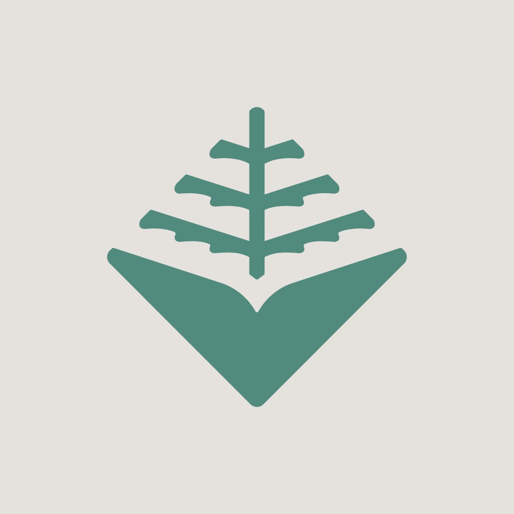Life Application Study Bible