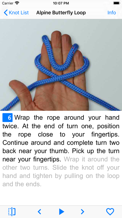 screenshot 10