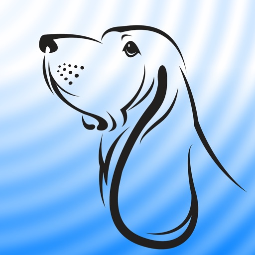 blue hound