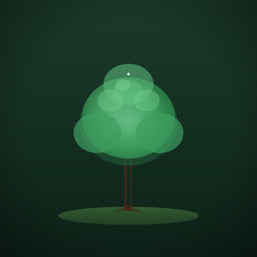 groundd