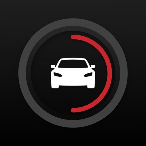 dashcam viewer: for tesla