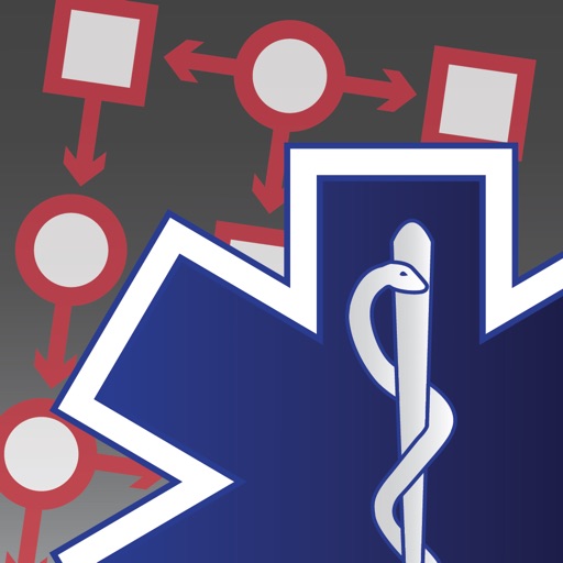 paramedic protocol provider